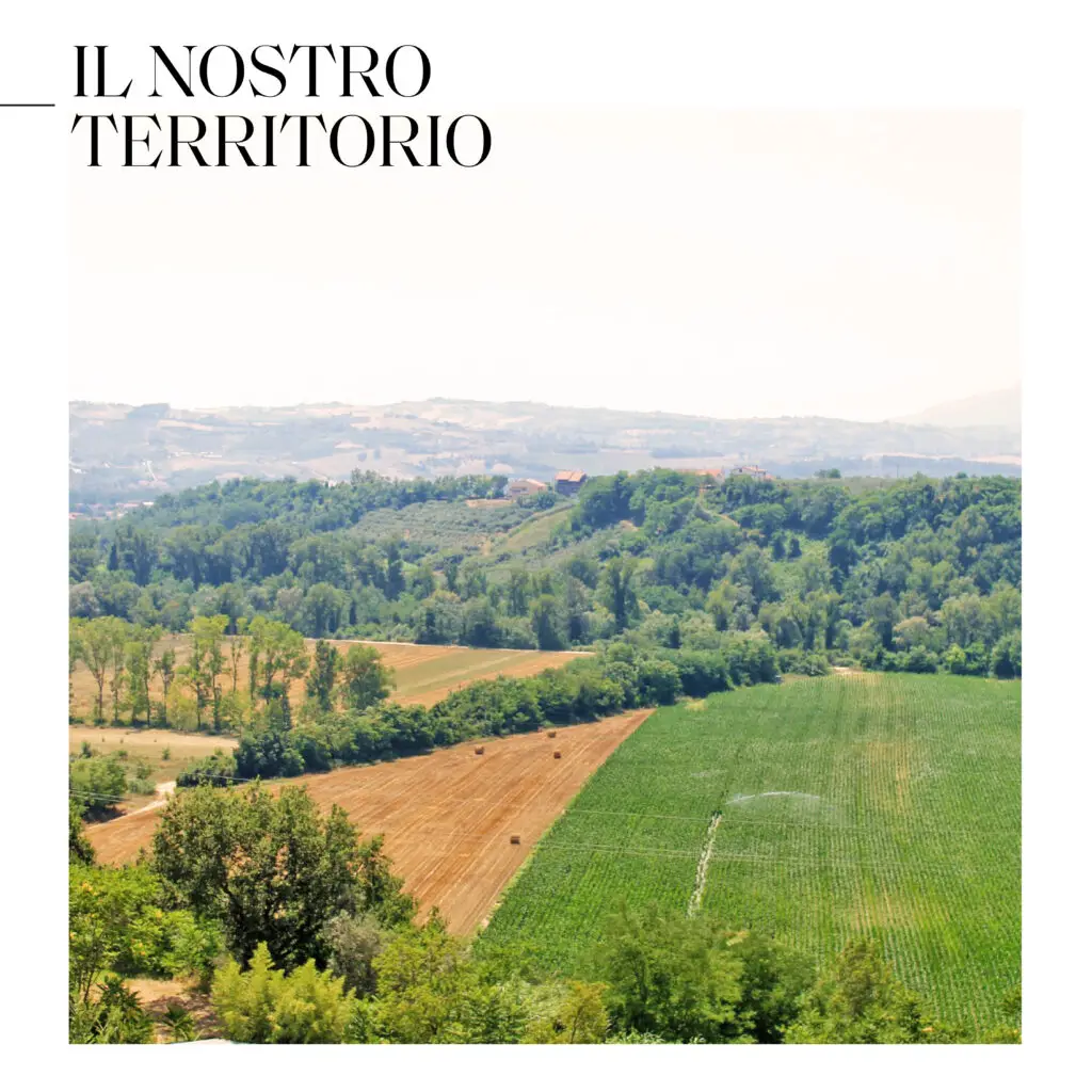 03_TERRITORIO_