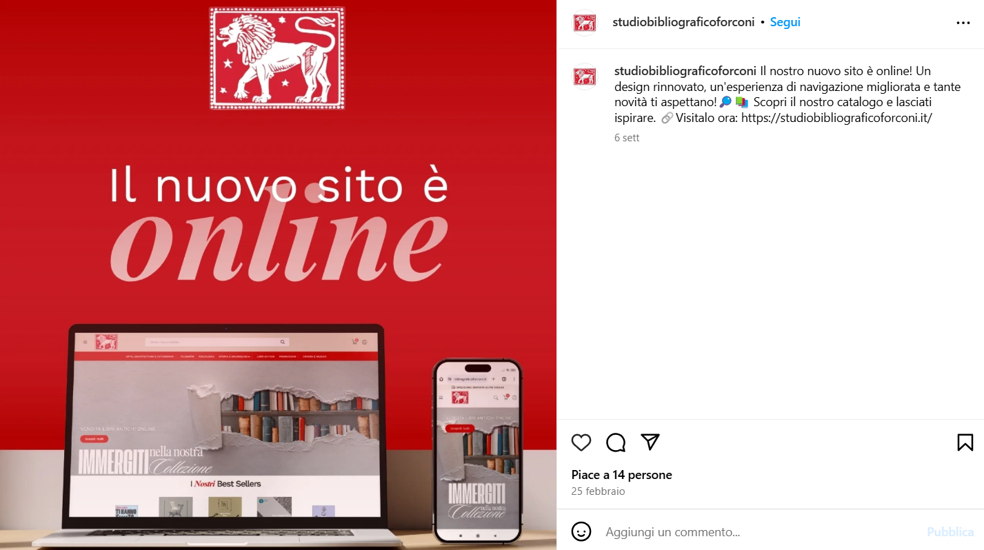 Studio_Bibliografico_Forconi_Italiainweb (6)