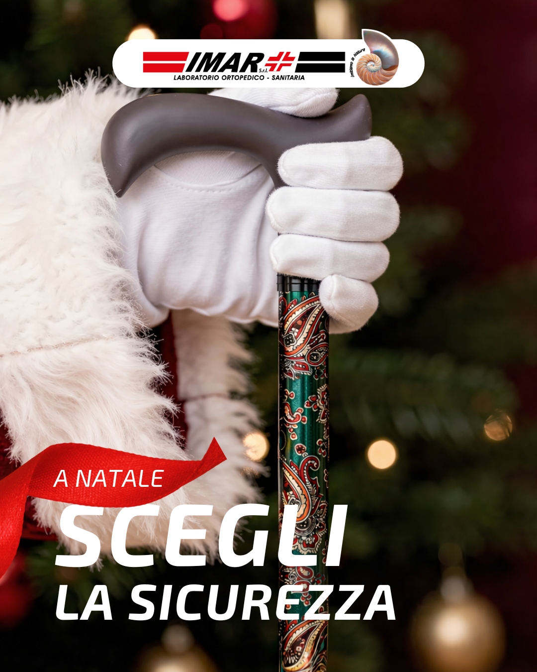 603799090_1332084068962333_6576003739897410535_n